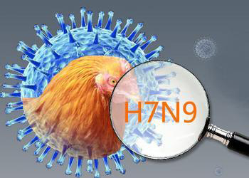 病毒重组带来病毒家族新成员H7N7