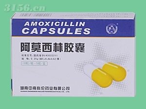 阿莫西林胶囊50粒*抗生素*|河南省国药医药有