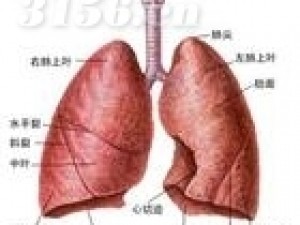 慢性肺气肿吃什么药 郑州哪家医院治疗慢性肺气肿最好呢？招商