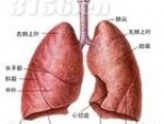 慢性肺气肿吃什么药 郑州哪家医院治疗慢性肺气肿最好呢？