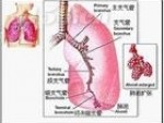 肺心病吃什么药？   郑州哪家医院治疗肺心病好？