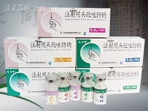 注射用头孢唑肟钠  达利净 抗生素 针剂招商